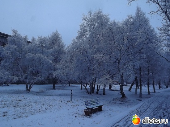 �����, ������: ��������