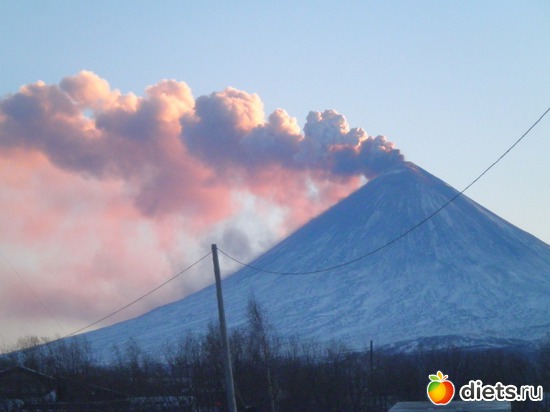 ��� .���������� ����� �����������, ������: ��������