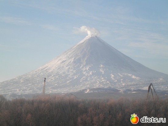 5 ����: ��������