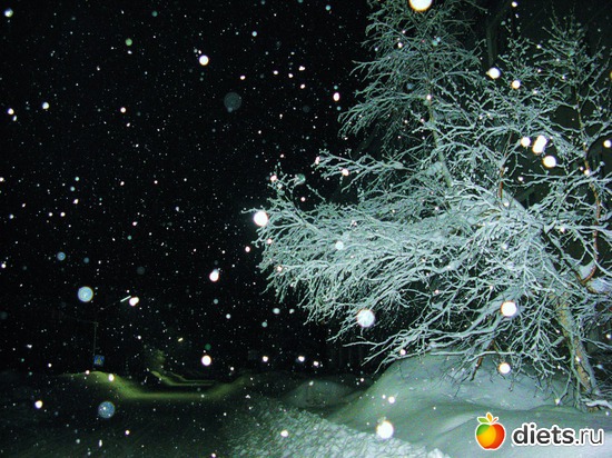 12 ����: ��������