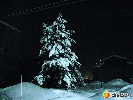 13 ����: ��������