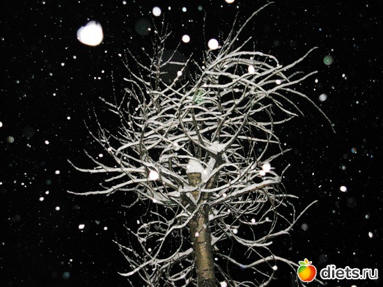 14 ����: ��������