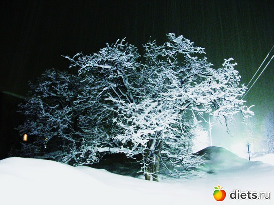 15 ����: ��������