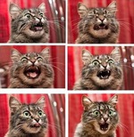 Караул, сладости!!! И прощай фигура.