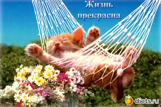 10 ����: ������