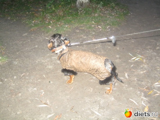 1 ����: ����� 2013 � ������...