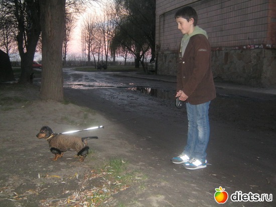 4 ����: ����� 2013 � ������...