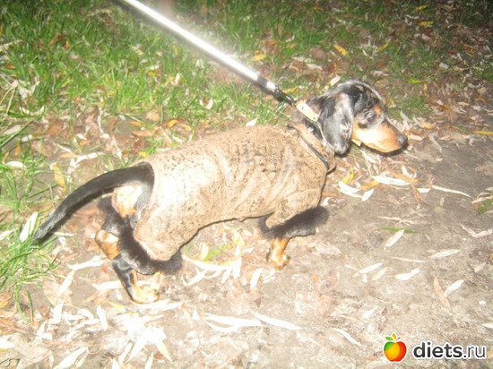 6 ����: ����� 2013 � ������...