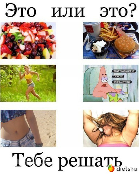 5 ����: ����������