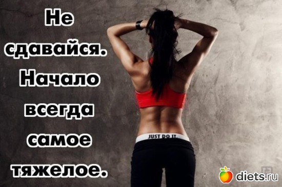 22 ����: ����������