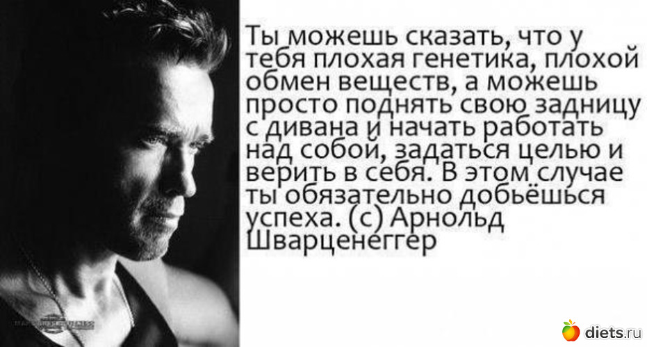 23 ����: ����������