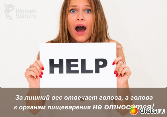 27 ����: ����������