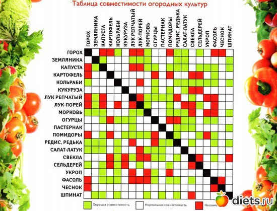 9 ����: ���������� �����
