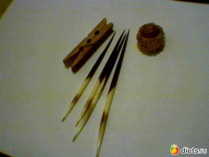 Иглы дикообразов и что-то вроде жёлудя, альбом: Всяко разно