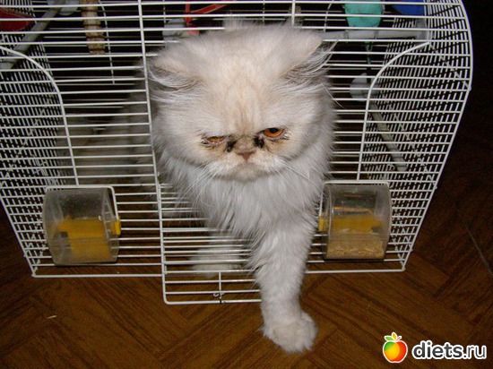 ����� � ������, ������: ����� � �������