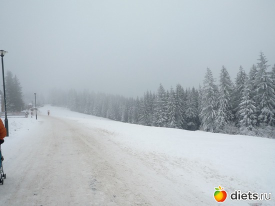 5 фото: Закопане