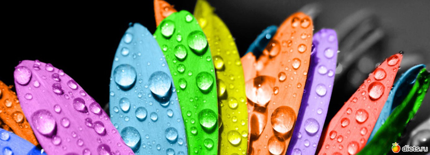 1 ����: ����� ���������