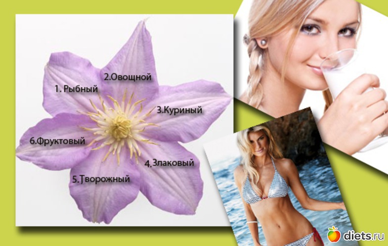 4 ����: ����� ���������