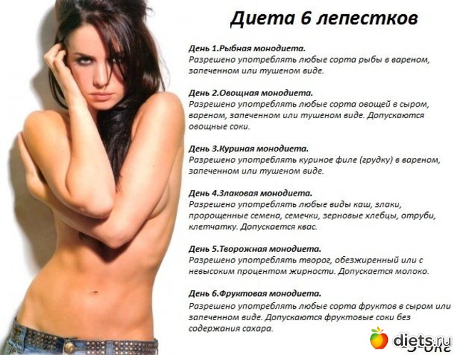 6 ����: ����� ���������