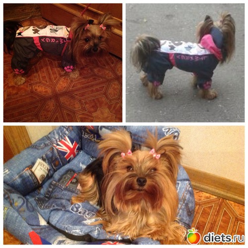 10 ����: ������