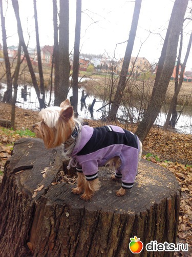 3 фото: Чипсик