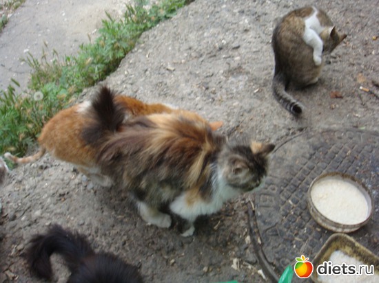 2 ����: ��� ��������� �����.