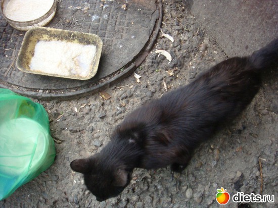 4 ����: ��� ��������� �����.