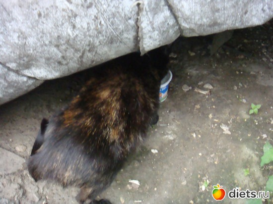 6 ����: ��� ��������� �����.