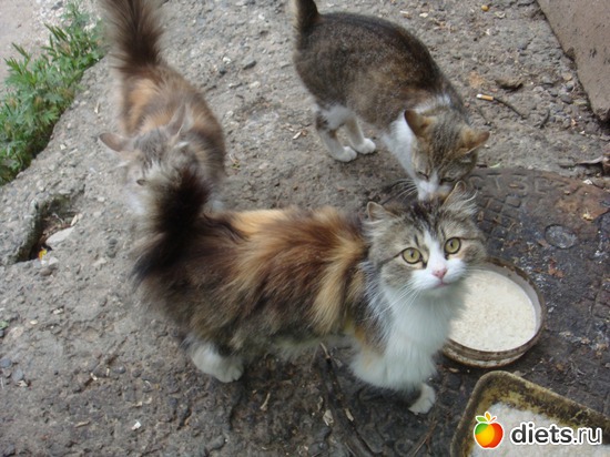 7 ����: ��� ��������� �����.