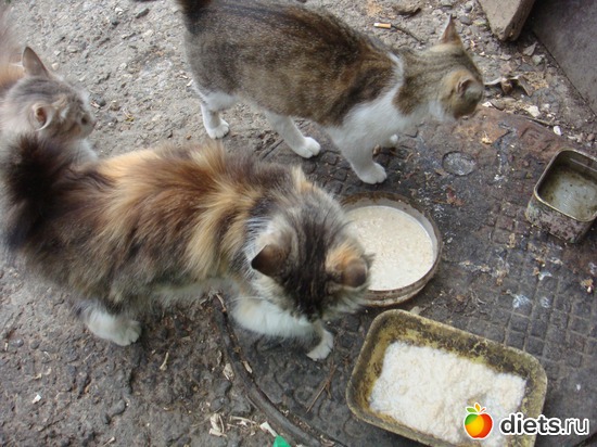 9 ����: ��� ��������� �����.