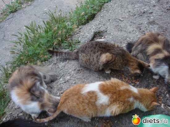 10 ����: ��� ��������� �����.