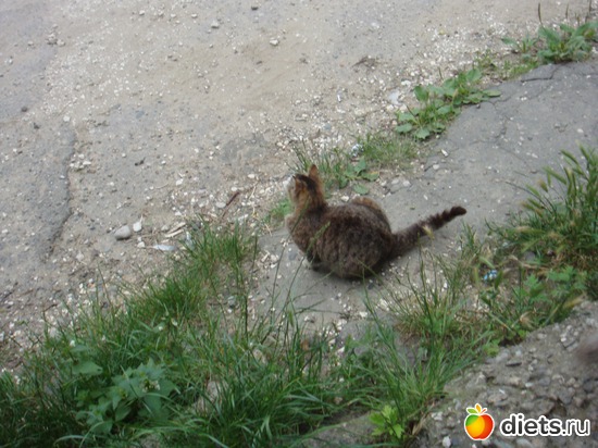 11 ����: ��� ��������� �����.