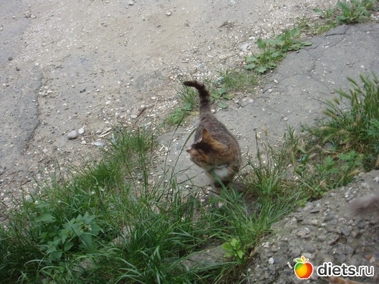 12 ����: ��� ��������� �����.