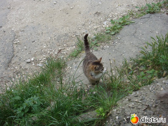 13 ����: ��� ��������� �����.