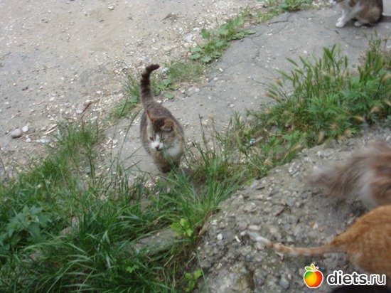 14 ����: ��� ��������� �����.