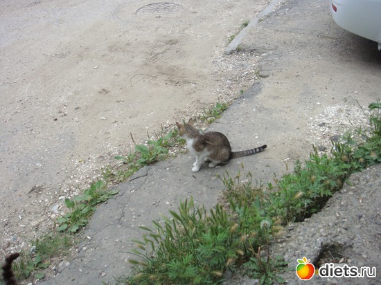 15 ����: ��� ��������� �����.