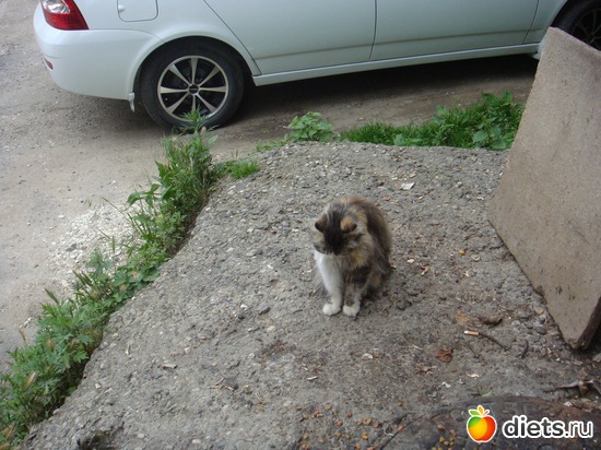 16 ����: ��� ��������� �����.