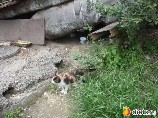 17 ����: ��� ��������� �����.