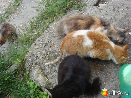 18 ����: ��� ��������� �����.