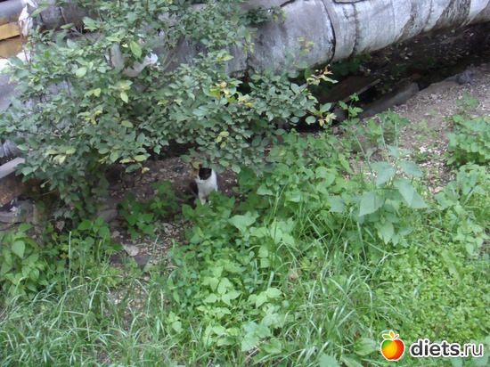 19 ����: ��� ��������� �����.