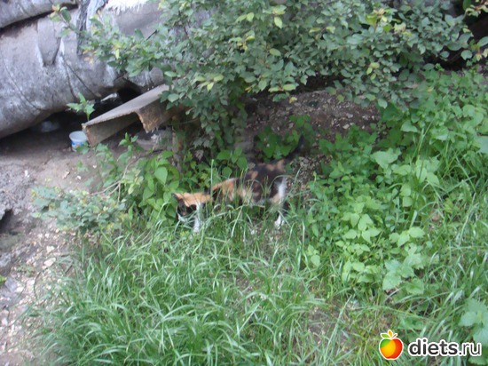 20 ����: ��� ��������� �����.