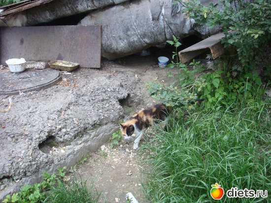 21 ����: ��� ��������� �����.