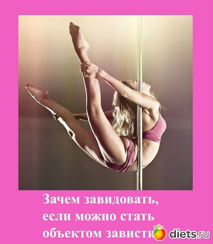 44 ����: ����������