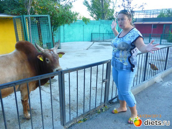 2 ����: ���� ����� "������"