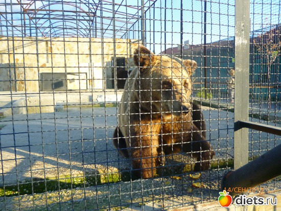 3 ����: ���� ����� "������"