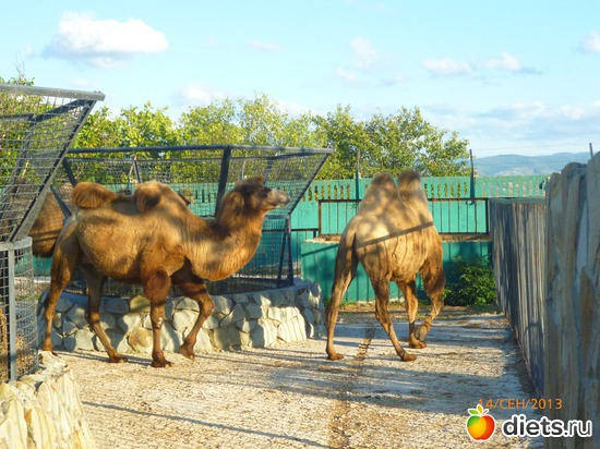 4 ����: ���� ����� "������"