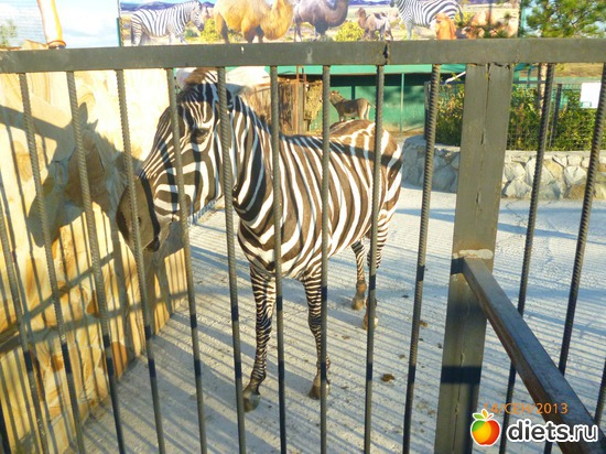 6 ����: ���� ����� "������"