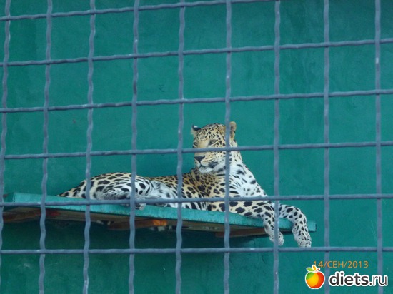 7 ����: ���� ����� "������"