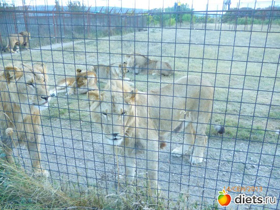 10 ����: ���� ����� "������"