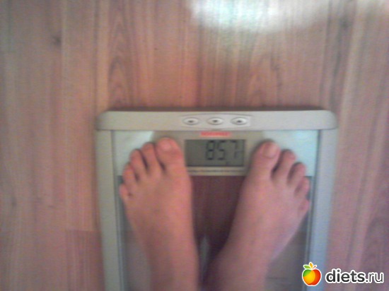 1 ����: ����